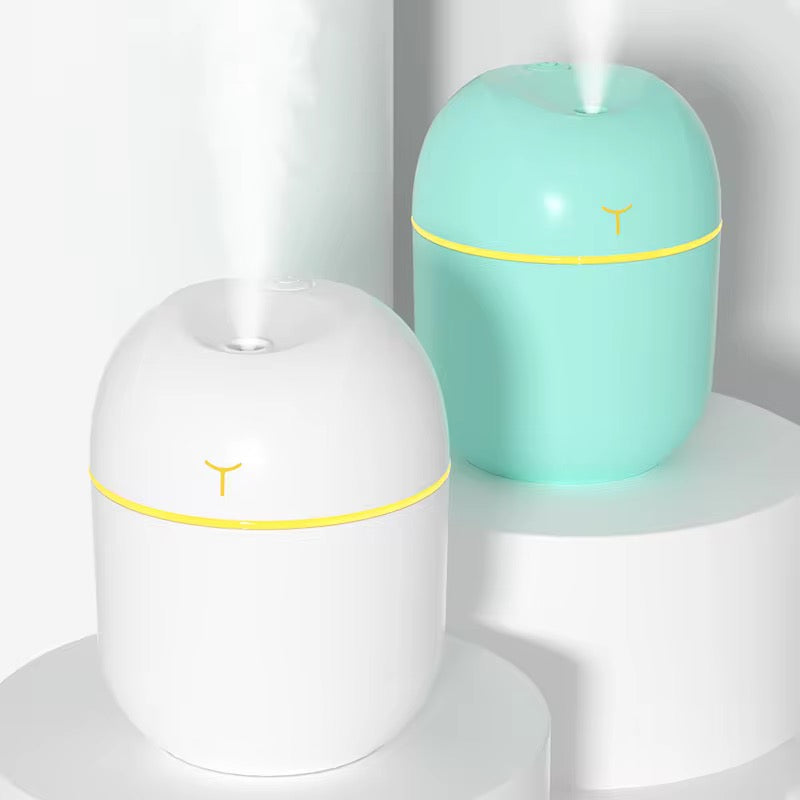 Heylovely Portable Mini Air Humidifier & Aroma Diffuser for Home or Car