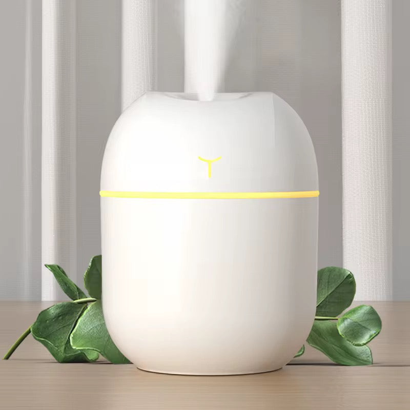 Heylovely Portable Mini Air Humidifier & Aroma Diffuser for Home or Car