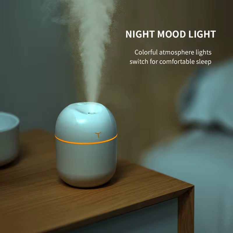Heylovely Portable Mini Air Humidifier & Aroma Diffuser for Home or Car
