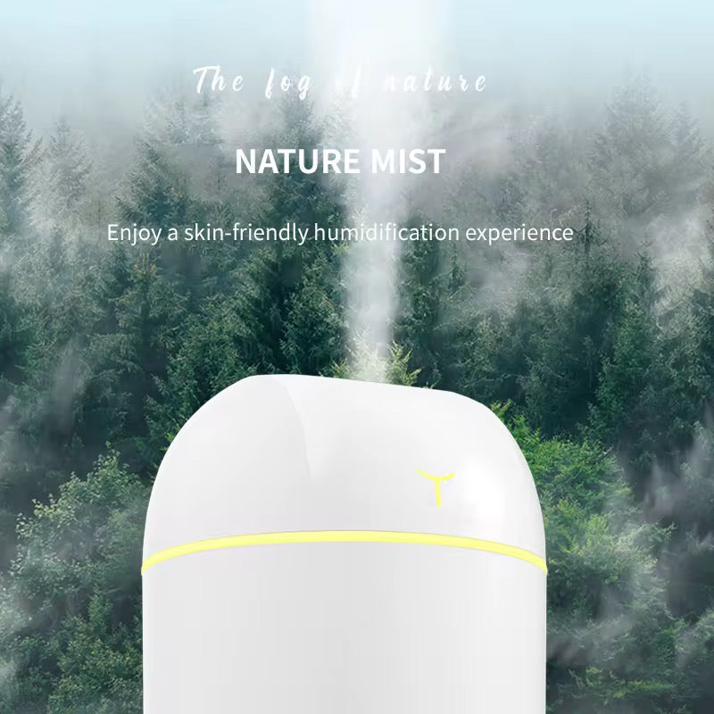 Heylovely Portable Mini Air Humidifier & Aroma Diffuser for Home or Car